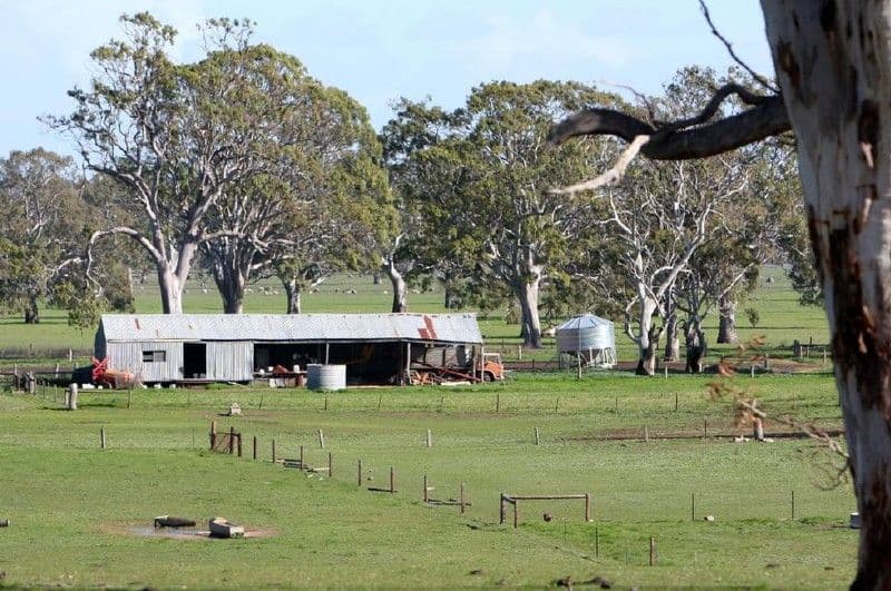 Sheridan Padthaway Road, PADTHAWAY SA 5271, Padthaway - Thumbnail 5