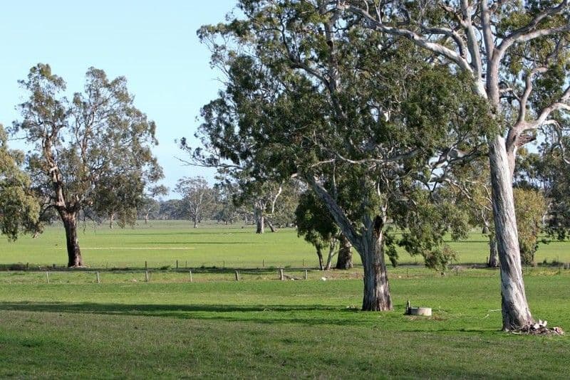 Sheridan Padthaway Road, PADTHAWAY SA 5271, Padthaway - Thumbnail 7