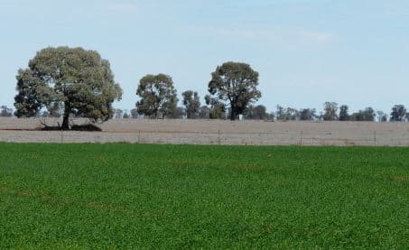 MOREE NSW 2400, Moree - Image 1