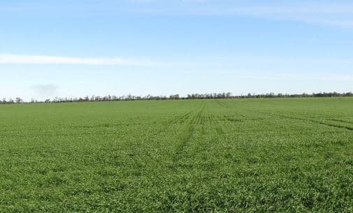 MOREE NSW 2400, Moree - Thumbnail 6