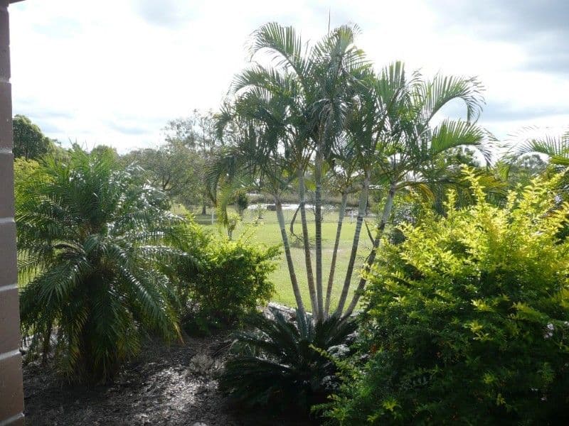 177 Walkers Road, SOUTH BINGERA QLD 4670, South Bingera - Thumbnail 5