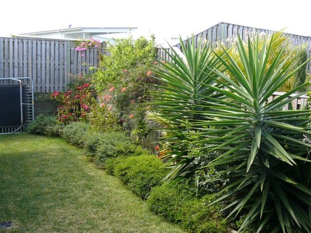 11 Davies Street, PACIFIC PINES QLD 4211, Pacific Pines - Thumbnail 5