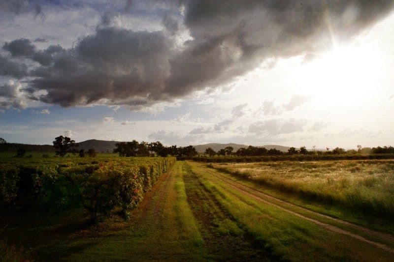 MUTCHILBA QLD 4872, Mutchilba - Thumbnail 2
