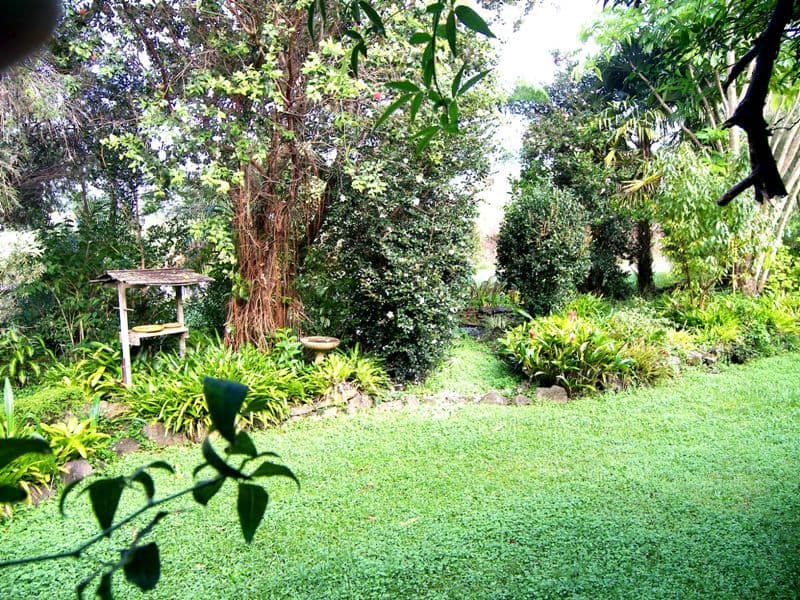 MALENY QLD 4552, Maleny - Thumbnail 5