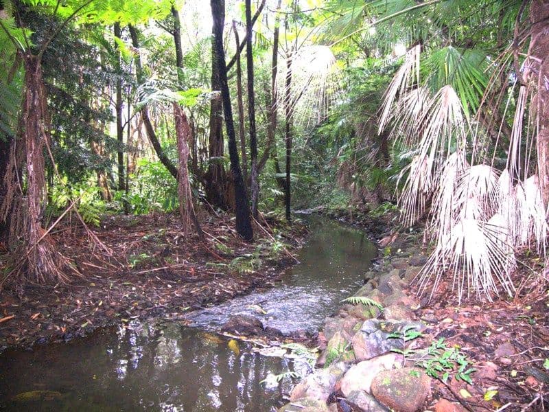 MALENY QLD 4552, Maleny - Thumbnail 7