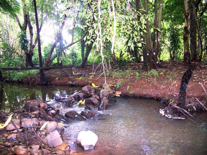 MALENY QLD 4552, Maleny - Thumbnail 8