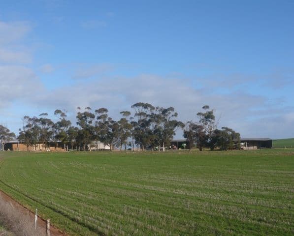 "Hogan's" Spalding Road, BOOBOROWIE SA 5417, Booborowie - Thumbnail 2