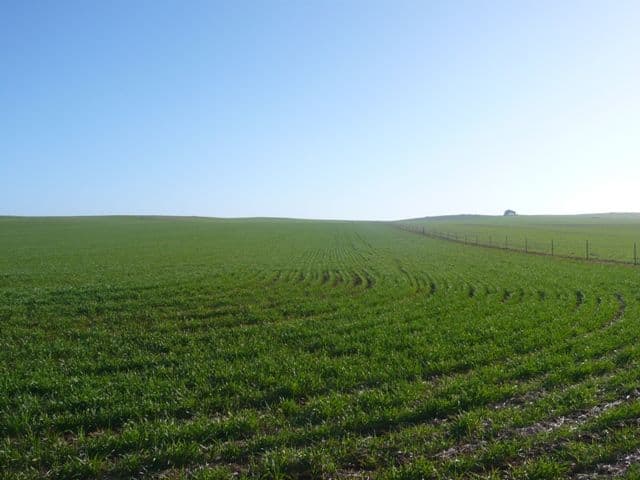 "Hogan's" Spalding Road, BOOBOROWIE SA 5417, Booborowie - Image 1
