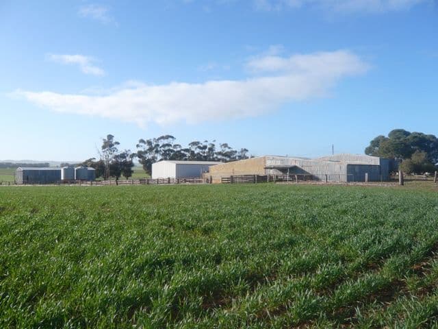 "Hogan's" Spalding Road, BOOBOROWIE SA 5417, Booborowie - Thumbnail 5