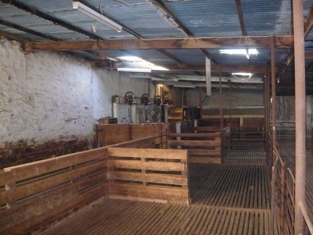 "Hogan's" Spalding Road, BOOBOROWIE SA 5417, Booborowie - Thumbnail 6