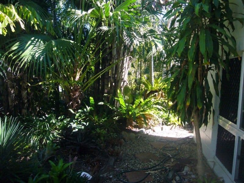 TRINITY BEACH QLD 4879, Trinity Beach - Thumbnail 7