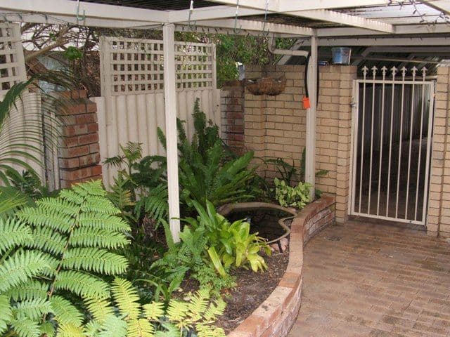 15 Hybanthus Road, RIVERTON WA 6148, Riverton - Thumbnail 8