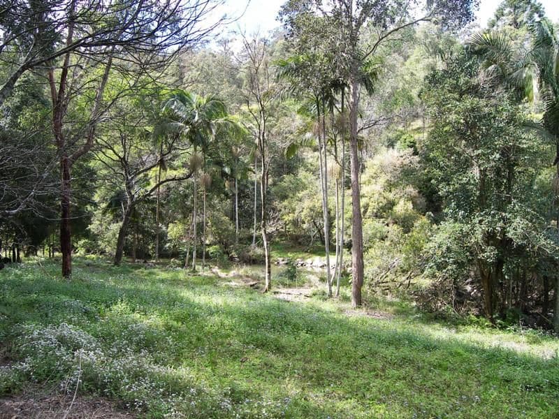 CONONDALE QLD 4552, Conondale - Thumbnail 2