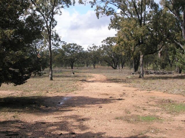 449 Bonnie Doon Road, LEYBURN QLD 4365, Leyburn - Thumbnail 4