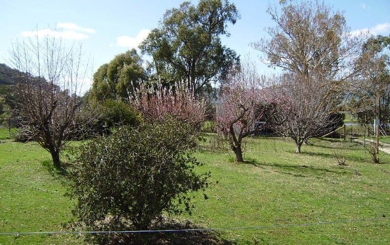 314 Hellhole Creek Road, KERGUNYAH VIC 3691, Kergunyah - Thumbnail 3