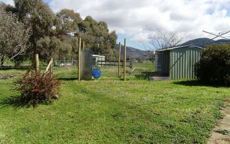 314 Hellhole Creek Road, KERGUNYAH VIC 3691, Kergunyah - Thumbnail 7