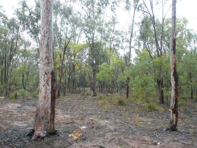 321 Stonehenge, LEYBURN QLD 4365, Leyburn - Image 1
