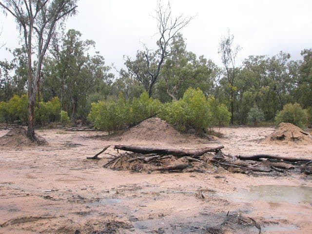 321 Stonehenge, LEYBURN QLD 4365, Leyburn - Thumbnail 3