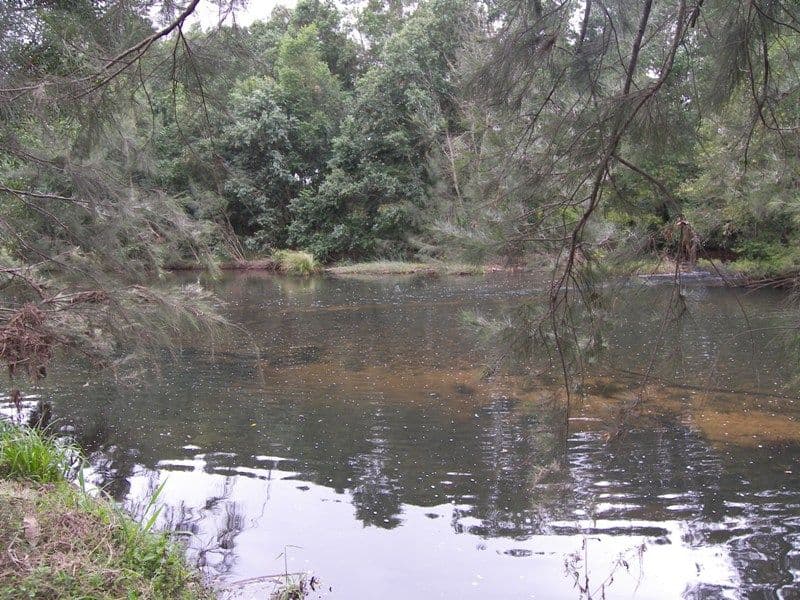 CONONDALE QLD 4552, Conondale - Thumbnail 5