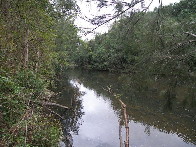 CONONDALE QLD 4552, Conondale - Thumbnail 6
