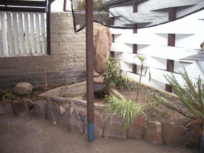 20 Dunn Street, BORDERTOWN SA 5268, Bordertown - Thumbnail 4