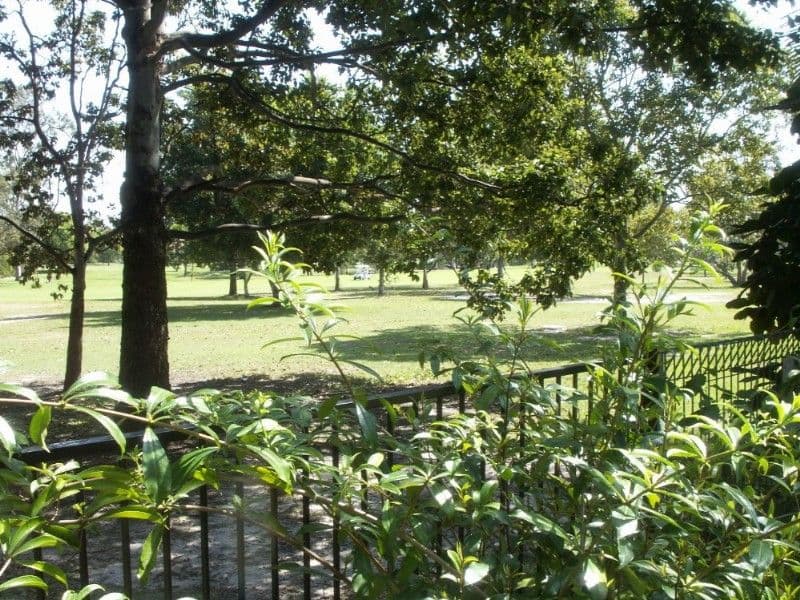 14 Midvale Place, HELENSVALE QLD 4212, Helensvale - Thumbnail 5