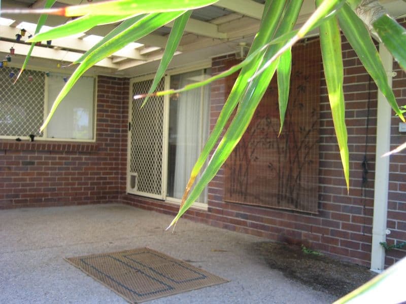 55 Orania Street, CALAMVALE QLD 4116, Calamvale - Thumbnail 6
