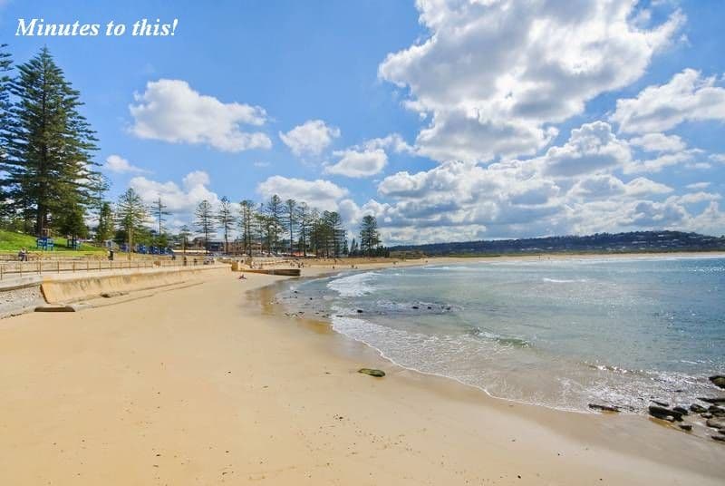 6 Pine Avenue, BROOKVALE NSW 2100, Brookvale - Thumbnail 3