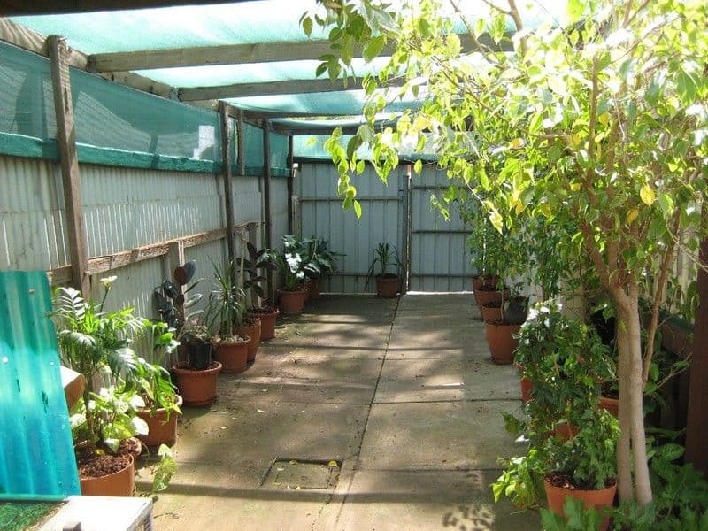 70 Kinkaid Road, ELIZABETH EAST SA 5112, Elizabeth East - Thumbnail 7