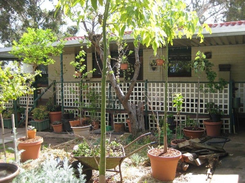 70 Kinkaid Road, ELIZABETH EAST SA 5112, Elizabeth East - Thumbnail 8