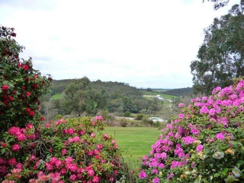 295 Mann Road, PAKENHAM UPPER VIC 3810, Pakenham Upper - Thumbnail 2