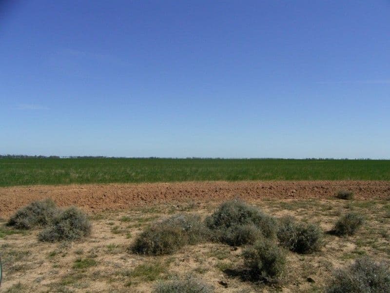 DENILIQUIN NSW 2710, Deniliquin - Thumbnail 3