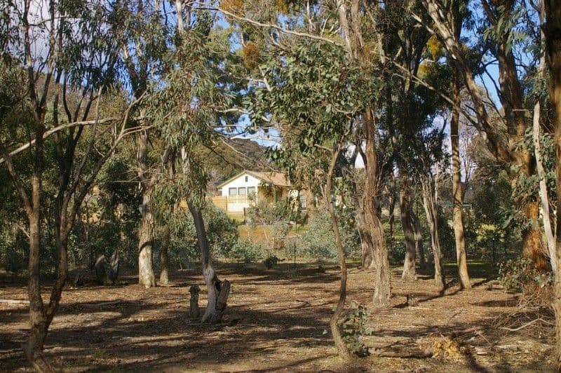 31 Common Road, BOWNING NSW 2582, Bowning - Thumbnail 2