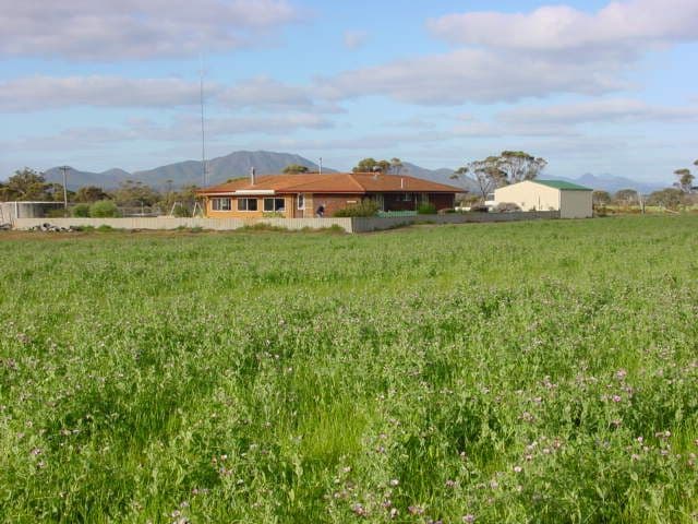 KENDENUP WA 6323, Kendenup - Thumbnail 3