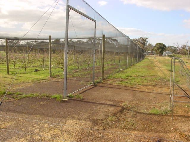 KENDENUP WA 6323, Kendenup - Thumbnail 7