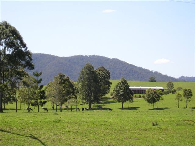 CONONDALE QLD 4552, Conondale - Image 1