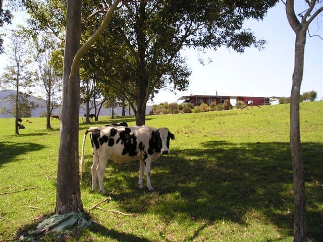 CONONDALE QLD 4552, Conondale - Thumbnail 2