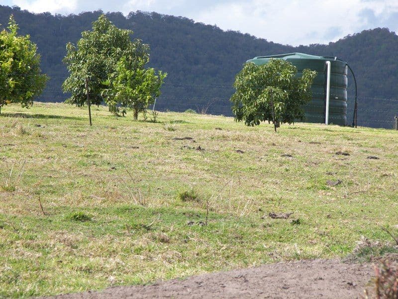 CONONDALE QLD 4552, Conondale - Thumbnail 5