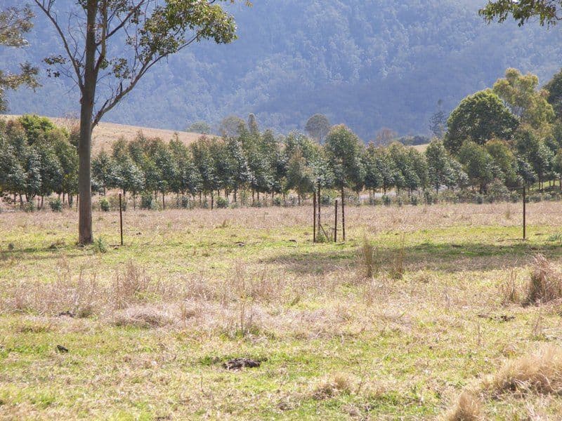 CONONDALE QLD 4552, Conondale - Thumbnail 7