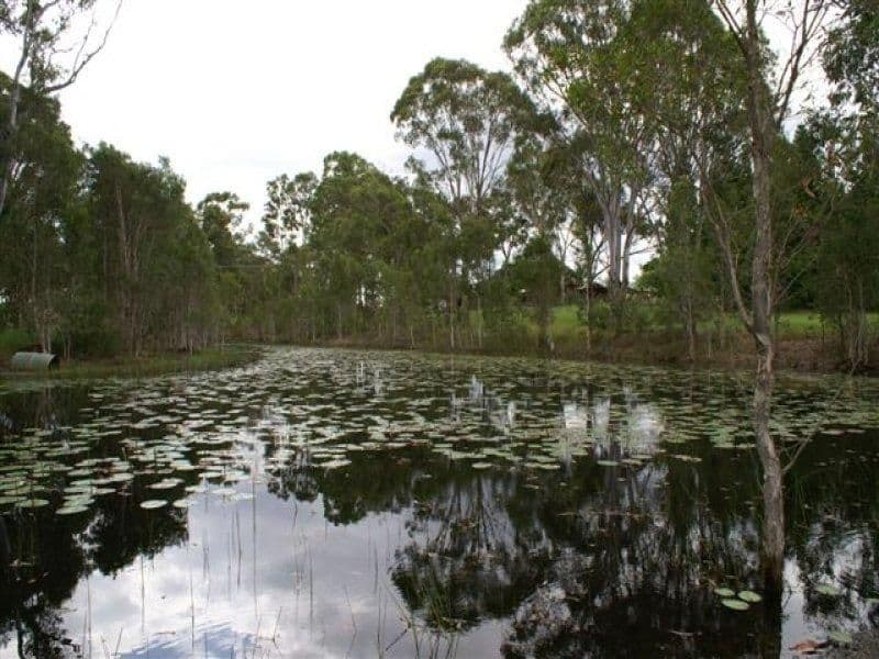 OAKHURST QLD 4650, Oakhurst - Thumbnail 2