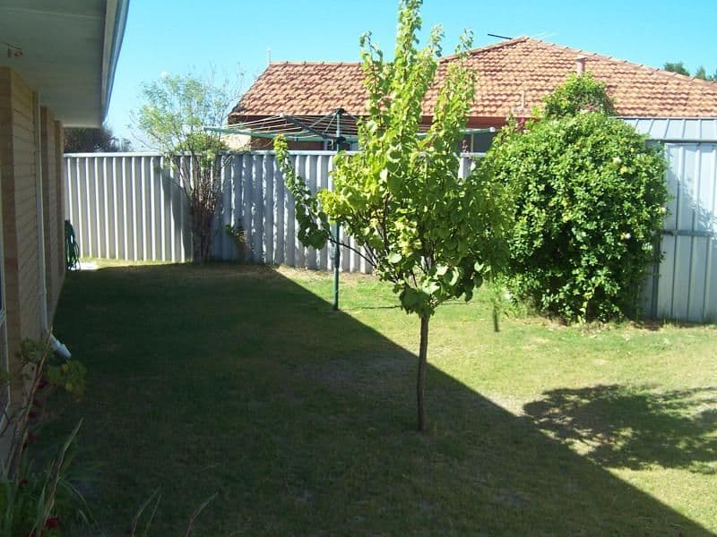 5B Karrawa Gdns, PORT KENNEDY WA 6172, Port Kennedy - Thumbnail 8