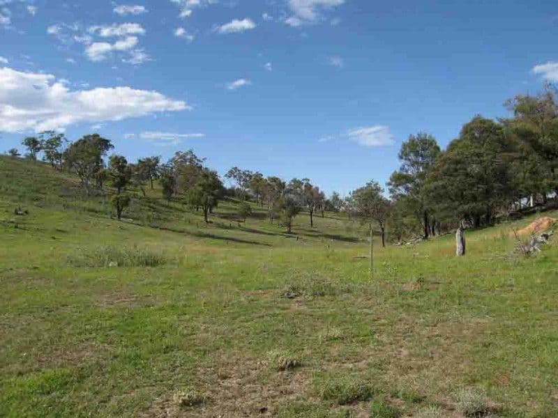 Lot 2 Cherry Tree Lane, BUNGENDORE NSW 2621, Bungendore - Image 1