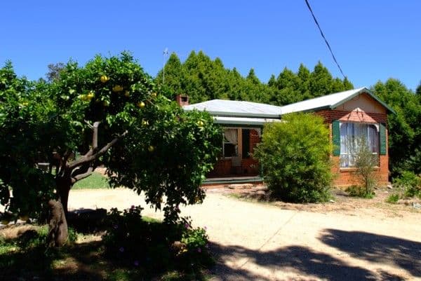 TENTERFIELD NSW 2372, Tenterfield - Thumbnail 4