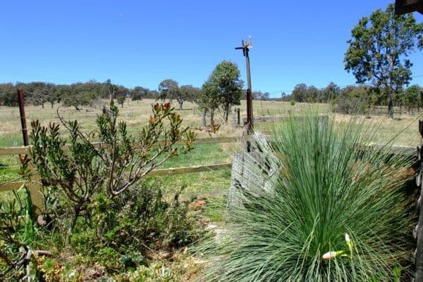 TENTERFIELD NSW 2372, Tenterfield - Thumbnail 5