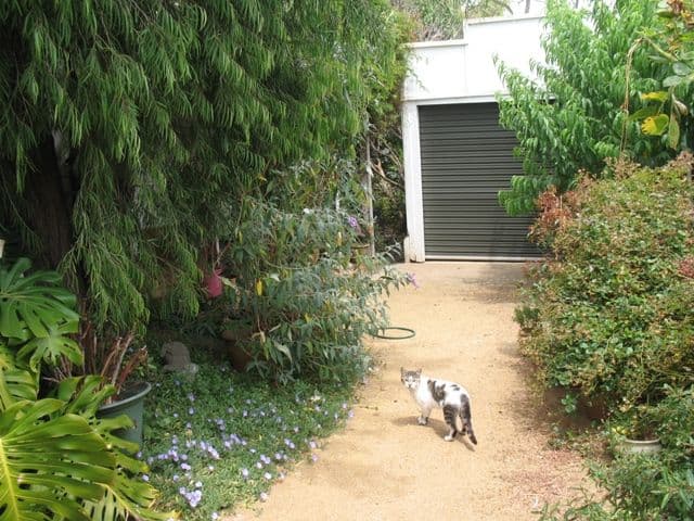 4 McLean Lane, WARRNAMBOOL VIC 3280, Warrnambool - Thumbnail 3