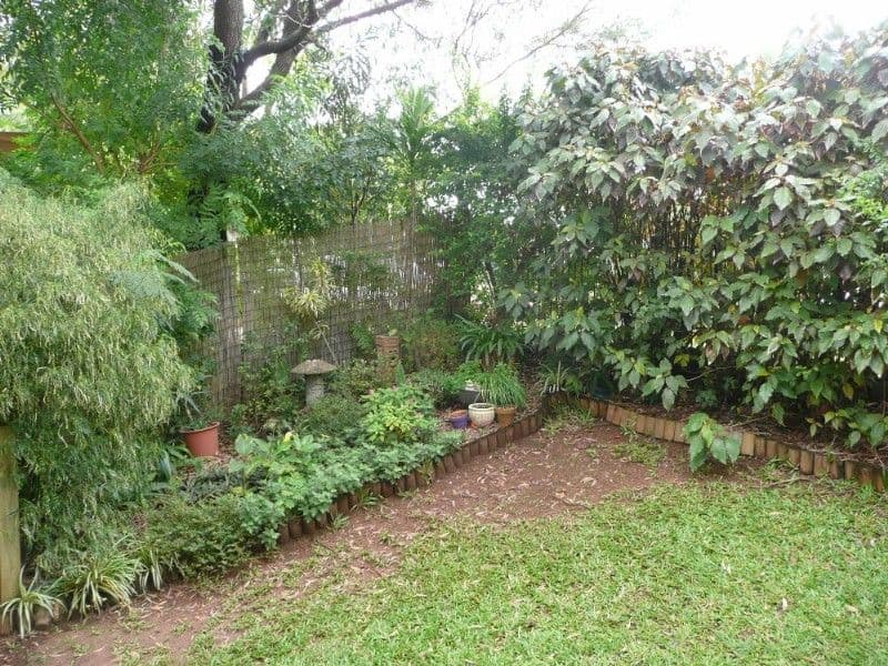 23 Conway Court, BLI BLI QLD 4560, Bli Bli - Thumbnail 7