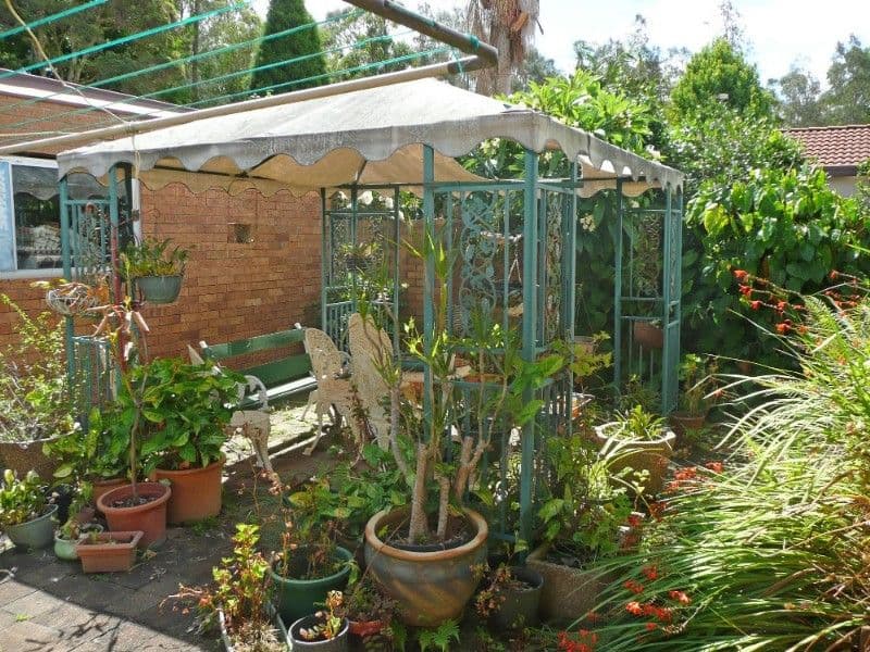 8 Tern Close, LAKEWOOD NSW 2443, Lakewood - Thumbnail 7