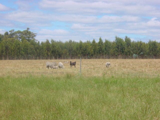 MOUNT BARKER WA 6324, Mount Barker - Image 1