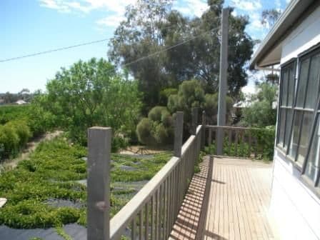 56 Third Street, MERBEIN VIC 3505, Merbein - Thumbnail 4