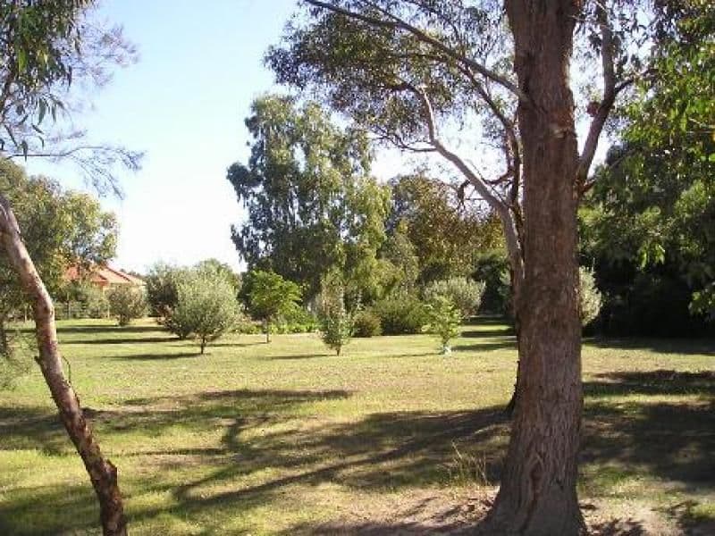 152 Salmon Bark Road, SERPENTINE WA 6125, Serpentine - Thumbnail 8